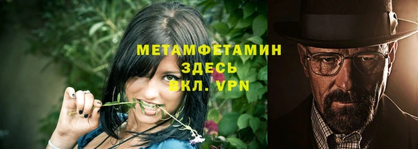 прущие грибы Нязепетровск