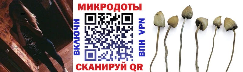 сколько стоит  Каневская  Псилоцибиновые грибы ЛСД 